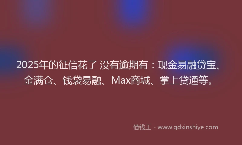 2025年的征信花了 没有逾期有：现金易融贷宝、金满仓、钱袋易融、Max商城、掌上贷通等。
