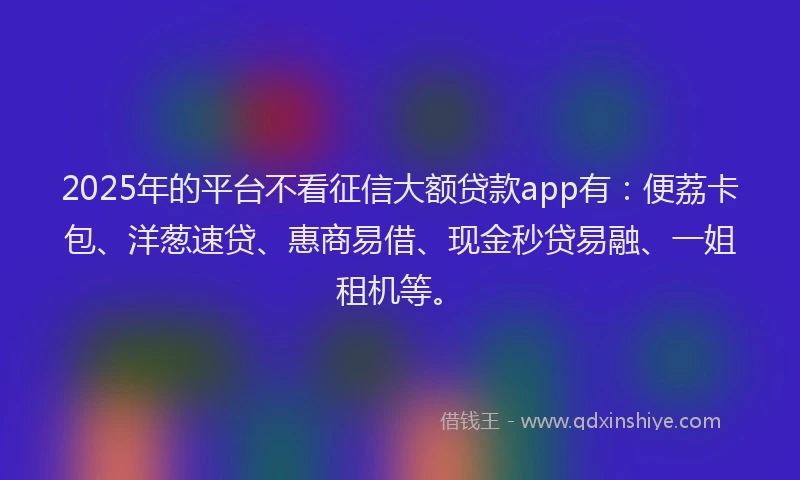 2025年的平台不看征信大额贷款app有：便荔卡包、洋葱速贷、惠商易借、现金秒贷易融、一姐租机等。