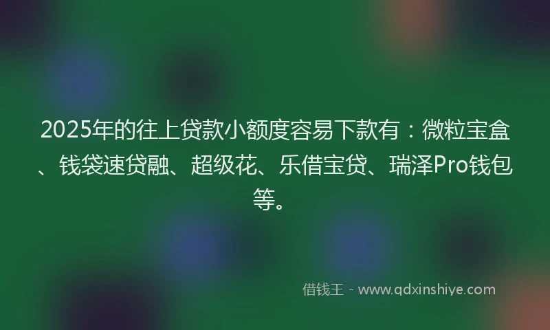 2025年的往上贷款小额度容易下款有：微粒宝盒、钱袋速贷融、超级花、乐借宝贷、瑞泽Pro钱包等。