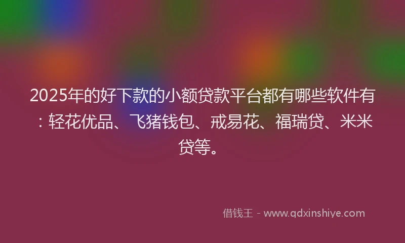 2025年的好下款的小额贷款平台都有哪些软件有：轻花优品、飞猪钱包、戒易花、福瑞贷、米米贷等。