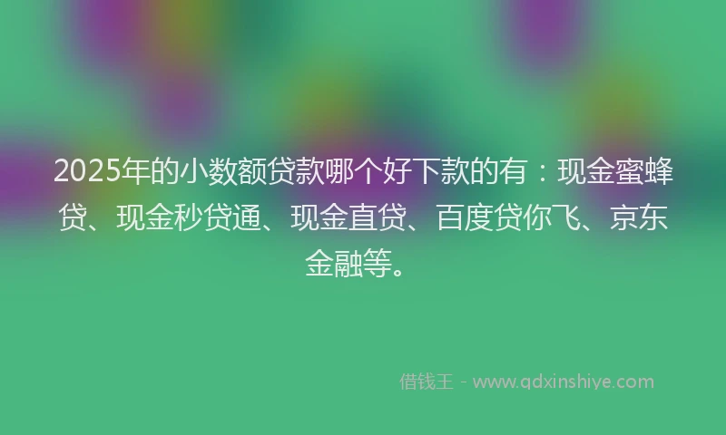 2025年的小数额贷款哪个好下款的有：现金蜜蜂贷、现金秒贷通、现金直贷、百度贷你飞、京东金融等。