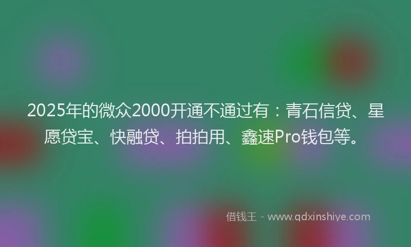 2025年的微众2000开通不通过有：青石信贷、星愿贷宝、快融贷、拍拍用、鑫速Pro钱包等。