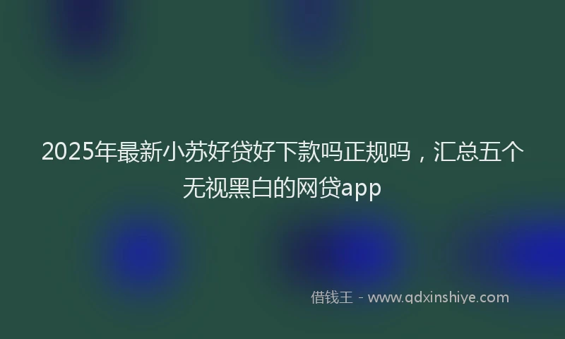 2025年最新小苏好贷好下款吗正规吗，汇总五个无视黑白的网贷app