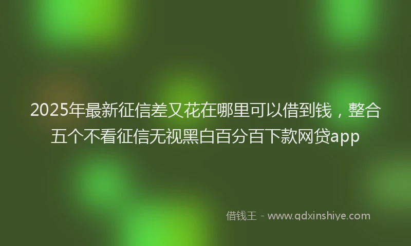 2025年最新征信差又花在哪里可以借到钱，整合五个不看征信无视黑白百分百下款网贷app