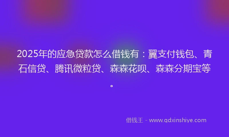 2025年的应急贷款怎么借钱有:翼支付钱包、青石信贷、腾讯微粒贷、森森花呗、森森分期宝等。
