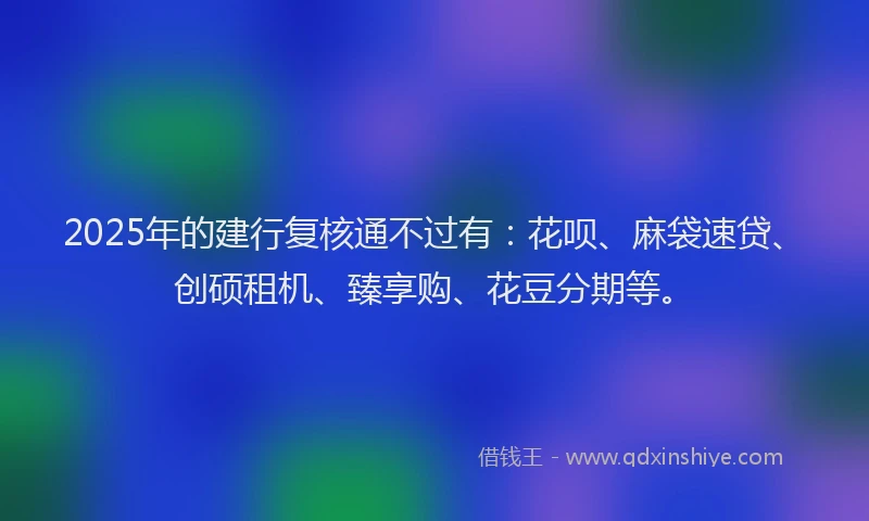 2025年的建行复核通不过有：花呗、麻袋速贷、创硕租机、臻享购、花豆分期等。