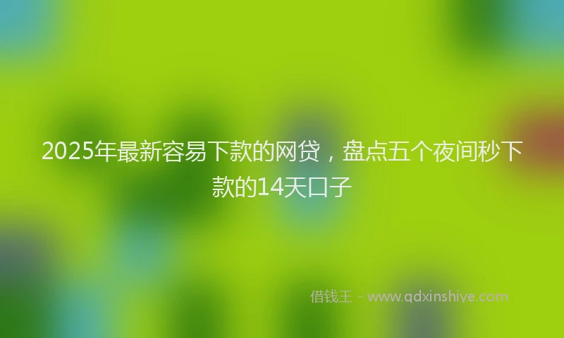 2025年最新容易下款的网贷，盘点五个夜间秒下款的14天口子