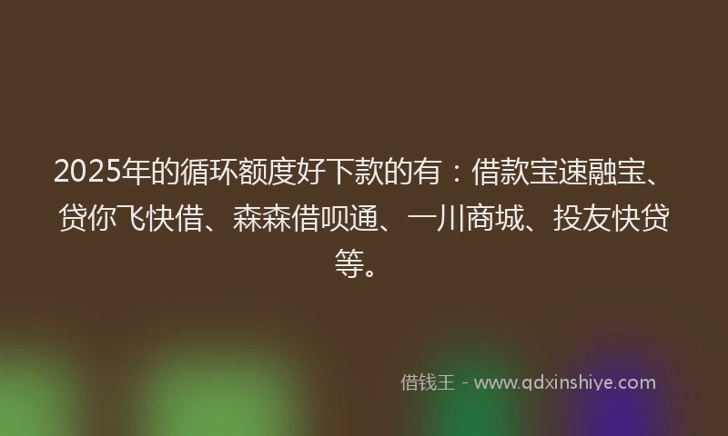 2025年的循环额度好下款的有：借款宝速融宝、贷你飞快借、森森借呗通、一川商城、投友快贷等。