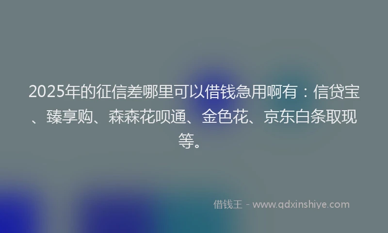 2025年的征信差哪里可以借钱急用啊有：信贷宝、臻享购、森森花呗通、金色花、京东白条取现等。