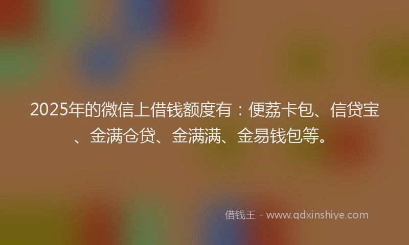 2025年的微信上借钱额度有：便荔卡包、信贷宝、金满仓贷、金满满、金易钱包等。