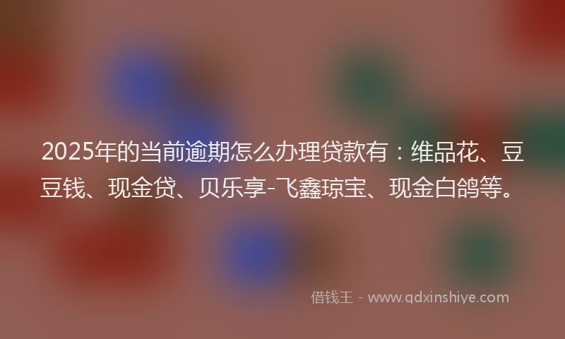2025年的当前逾期怎么办理贷款有：维品花、豆豆钱、现金贷、贝乐享-飞鑫琼宝、现金白鸽等。
