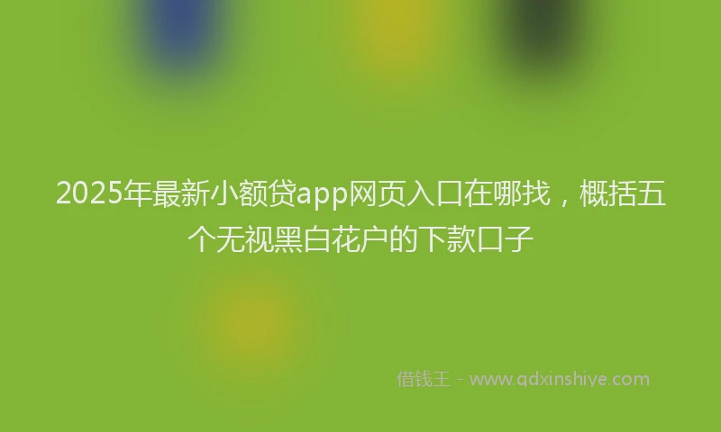 2025年最新小额贷app网页入口在哪找，概括五个无视黑白花户的下款口子