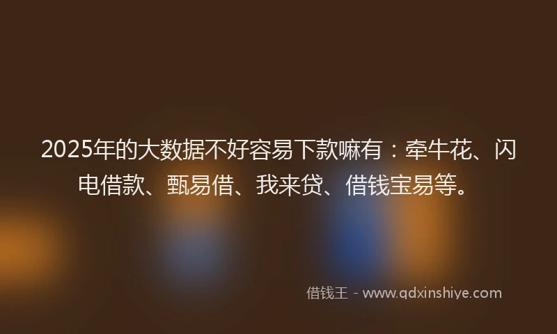 2025年的大数据不好容易下款嘛有：牵牛花、闪电借款、甄易借、我来贷、借钱宝易等。