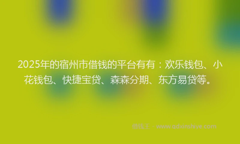 2025年的宿州市借钱的平台有有：欢乐钱包、小花钱包、快捷宝贷、森森分期、东方易贷等。