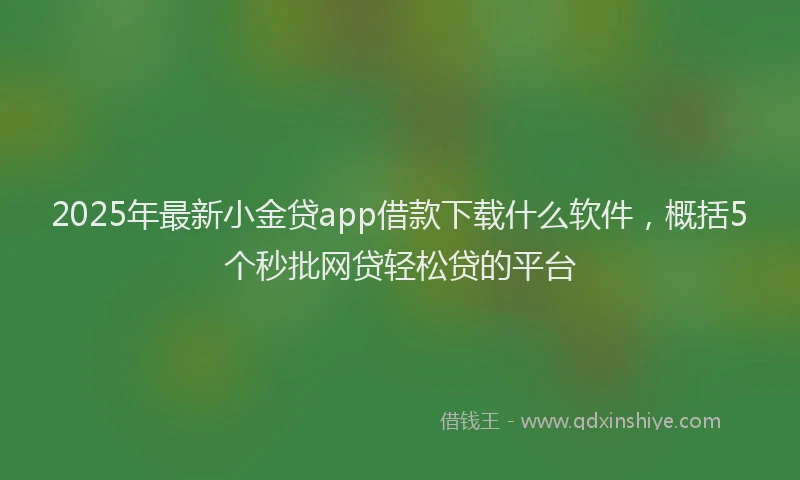 2025年最新小金贷app借款下载什么软件，概括5个秒批网贷轻松贷的平台