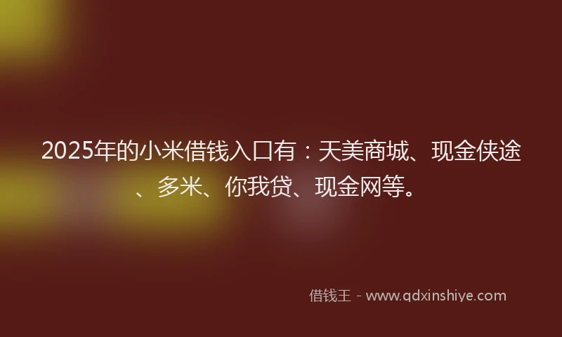 2025年的小米借钱入口有：天美商城、现金侠途、多米、你我贷、现金网等。
