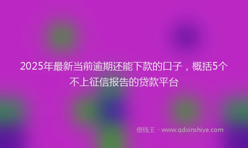 2025年最新当前逾期还能下款的口子，概括5个不上征信报告的贷款平台