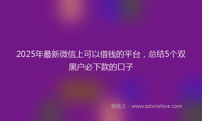 2025年最新微信上可以借钱的平台，总结5个双黑户必下款的口子