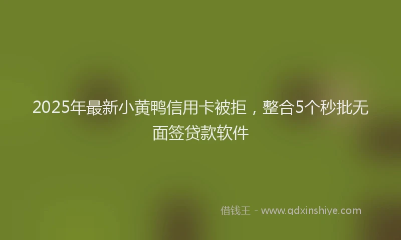 2025年最新小黄鸭信用卡被拒，整合5个秒批无面签贷款软件