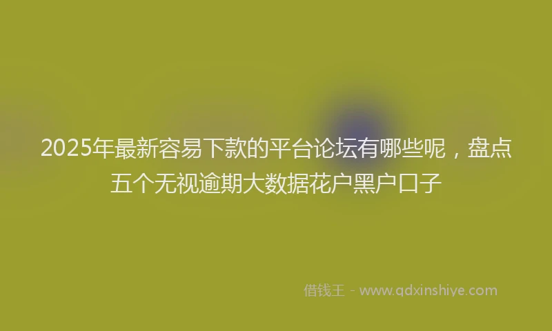 2025年最新容易下款的平台论坛有哪些呢，盘点五个无视逾期大数据花户黑户口子