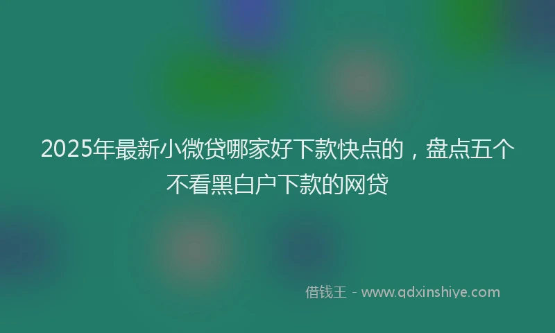 2025年最新小微贷哪家好下款快点的，盘点五个不看黑白户下款的网贷