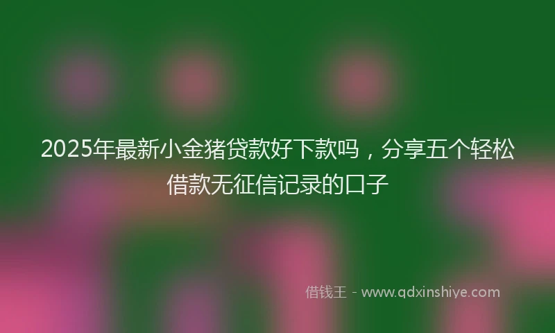 2025年最新小金猪贷款好下款吗，分享五个轻松借款无征信记录的口子