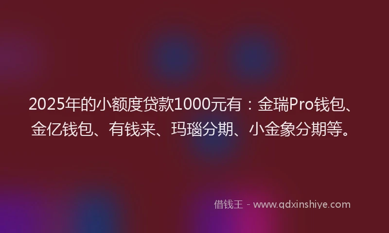 2025年的小额度贷款1000元有：金瑞Pro钱包、金亿钱包、有钱来、玛瑙分期、小金象分期等。