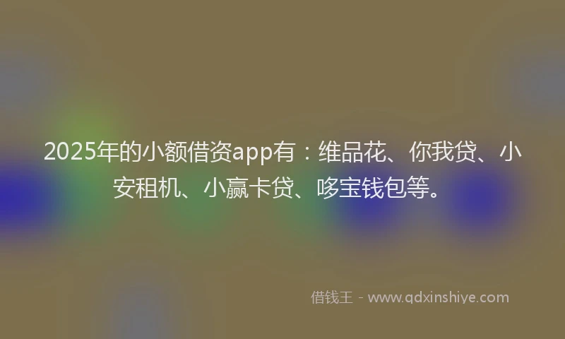 2025年的小额借资app有：维品花、你我贷、小安租机、小赢卡贷、哆宝钱包等。