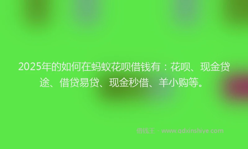 2025年的如何在蚂蚁花呗借钱有：花呗、现金贷途、借贷易贷、现金秒借、羊小购等。