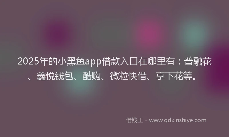 2025年的小黑鱼app借款入口在哪里有：普融花、鑫悦钱包、酷购、微粒快借、享下花等。