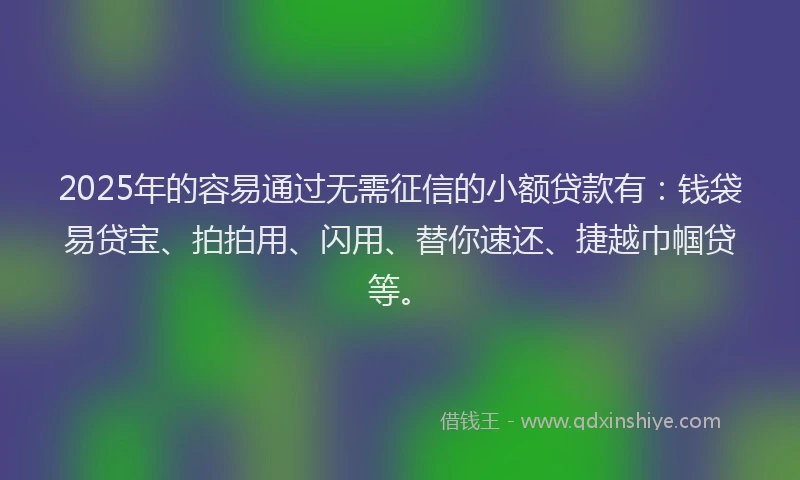 2025年的容易通过无需征信的小额贷款有：钱袋易贷宝、拍拍用、闪用、替你速还、捷越巾帼贷等。