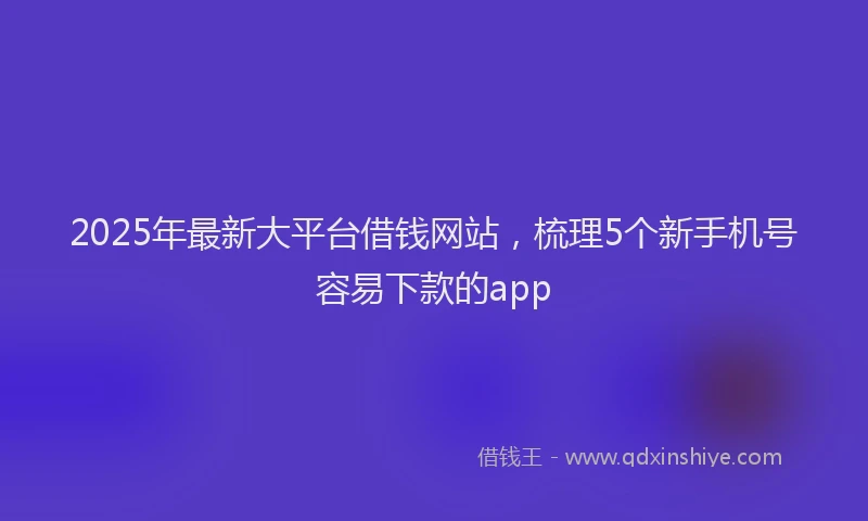 2025年最新大平台借钱网站，梳理5个新手机号容易下款的app