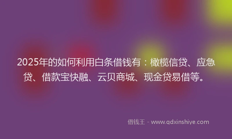 2025年的如何利用白条借钱有：橄榄信贷、应急贷、借款宝快融、云贝商城、现金贷易借等。