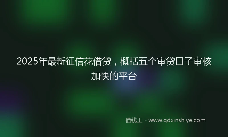 2025年最新征信花借贷，概括五个审贷口子审核加快的平台