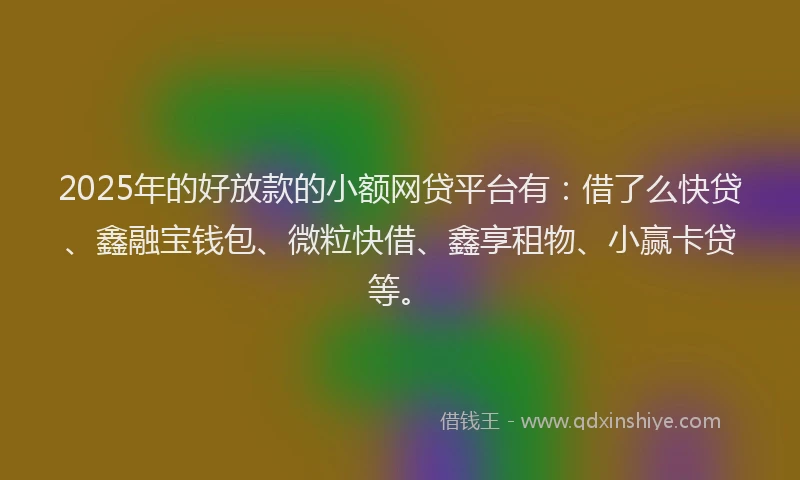 2025年的好放款的小额网贷平台有：借了么快贷、鑫融宝钱包、微粒快借、鑫享租物、小赢卡贷等。