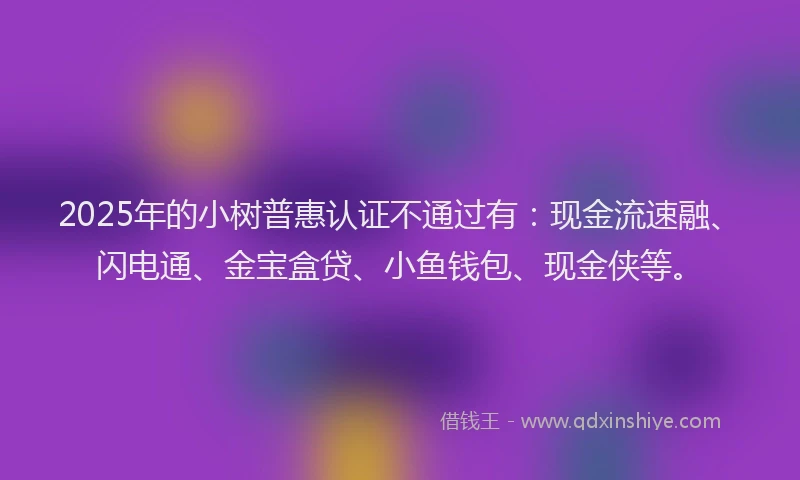 2025年的小树普惠认证不通过有：现金流速融、闪电通、金宝盒贷、小鱼钱包、现金侠等。