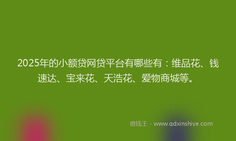 2025年的小额贷网贷平台有哪些有：维品花、钱速达、宝来花、天浩花、爱物商城等。