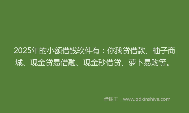2025年的小额借钱软件有：你我贷借款、柚子商城、现金贷易借融、现金秒借贷、萝卜易购等。