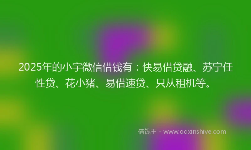 2025年的小宇微信借钱有：快易借贷融、苏宁任性贷、花小猪、易借速贷、只从租机等。
