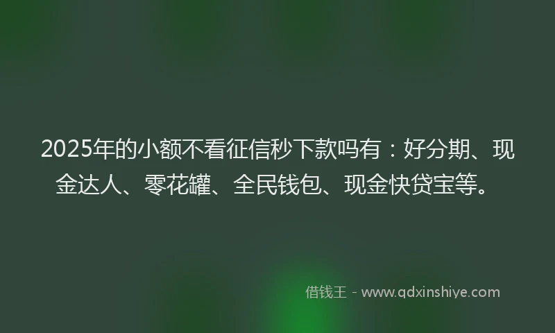 2025年的小额不看征信秒下款吗有：好分期、现金达人、零花罐、全民钱包、现金快贷宝等。