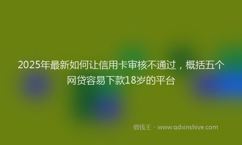 2025年最新如何让信用卡审核不通过，概括五个网贷容易下款18岁的平台