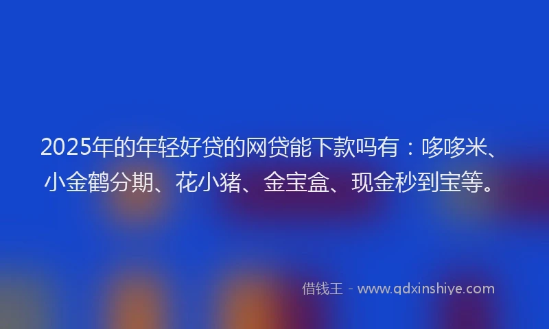 2025年的年轻好贷的网贷能下款吗有：哆哆米、小金鹤分期、花小猪、金宝盒、现金秒到宝等。