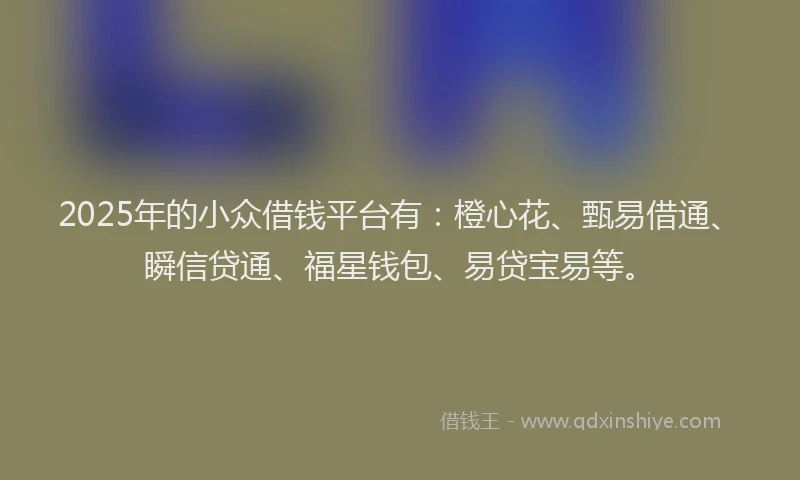 2025年的小众借钱平台有：橙心花、甄易借通、瞬信贷通、福星钱包、易贷宝易等。