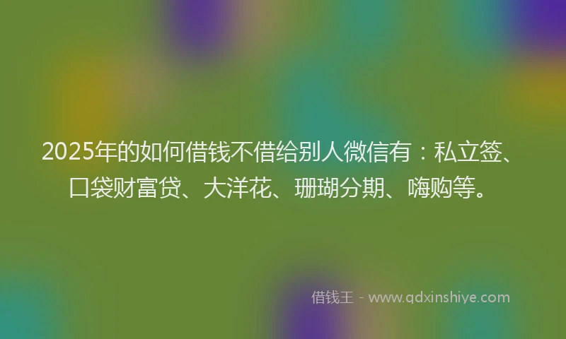 2025年的如何借钱不借给别人微信有：私立签、口袋财富贷、大洋花、珊瑚分期、嗨购等。