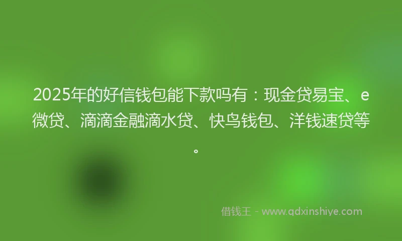 2025年的好信钱包能下款吗有：现金贷易宝、e微贷、滴滴金融滴水贷、快鸟钱包、洋钱速贷等。