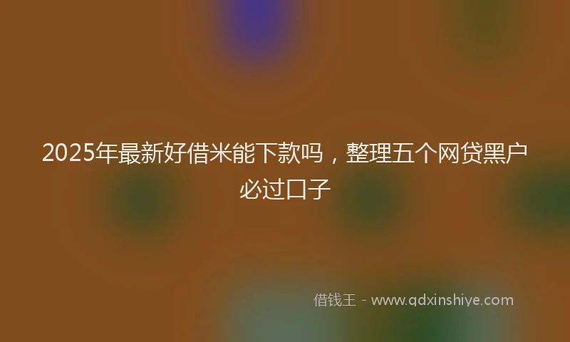 2025年最新好借米能下款吗，整理五个网贷黑户必过口子