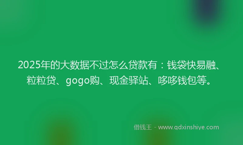 2025年的大数据不过怎么贷款有：钱袋快易融、粒粒贷、gogo购、现金驿站、哆哆钱包等。