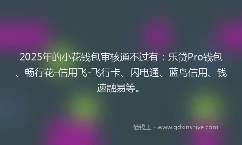 2025年的小花钱包审核通不过有：乐贷Pro钱包、畅行花-信用飞-飞行卡、闪电通、蓝鸟信用、钱速融易等。