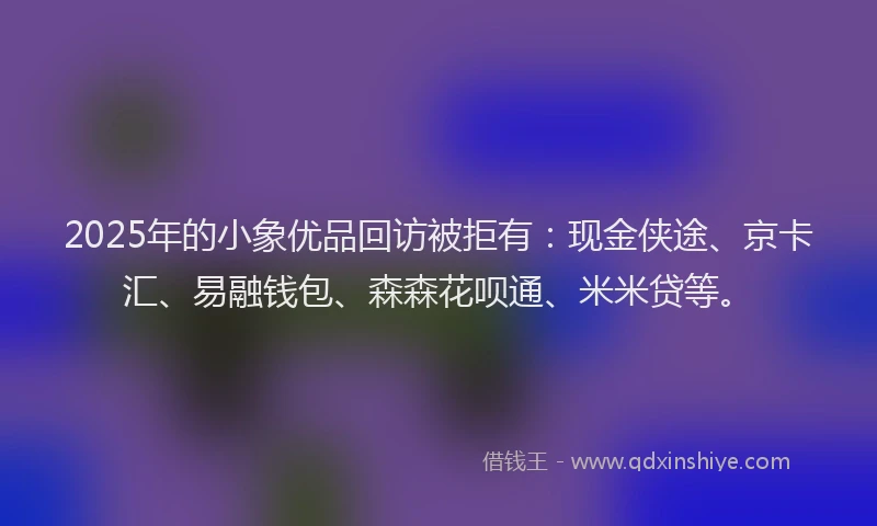 2025年的小象优品回访被拒有：现金侠途、京卡汇、易融钱包、森森花呗通、米米贷等。