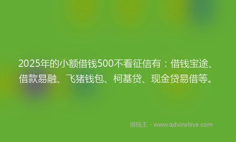 2025年的小额借钱500不看征信有：借钱宝途、借款易融、飞猪钱包、柯基贷、现金贷易借等。